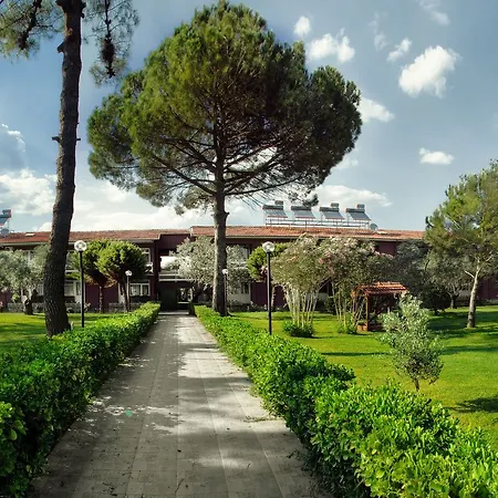 Hotel Palm
