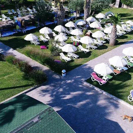 Hotel Palm