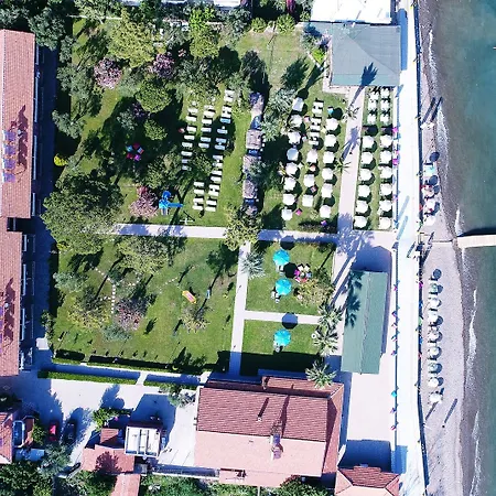 Hotel Palm