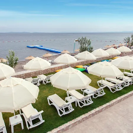 Palm Hotel 2*