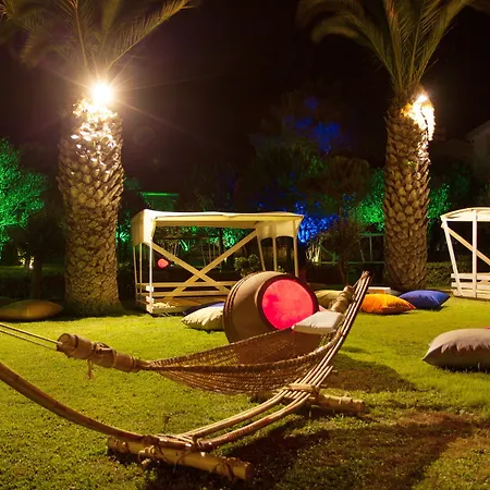 Palm Kucukkuyu