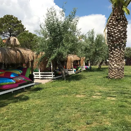 Palm 2* Kucukkuyu