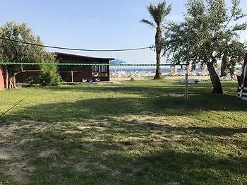 Palm 2* Kucukkuyu