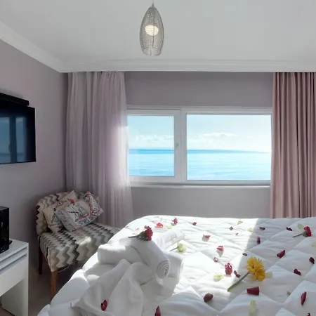Hotel Palm 2*