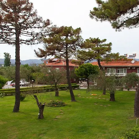 Palm Hotel
