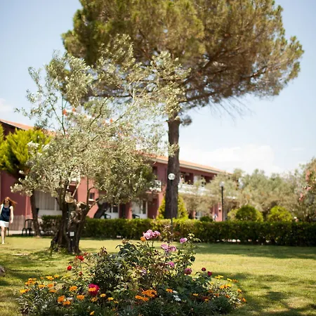 Hotel Palm