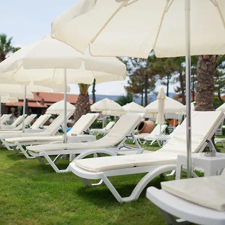 Palm Hotel 2*