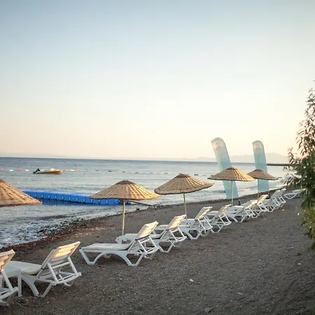 Palm Hotel Kucukkuyu