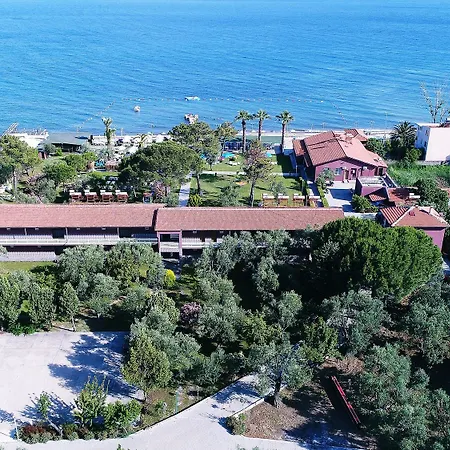 Palm 2* Küçükkuyu
