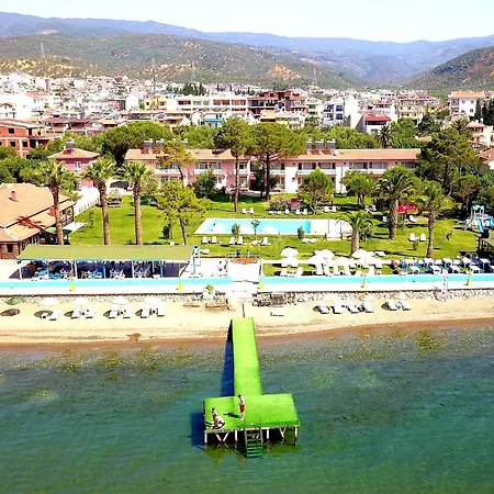 Palm Küçükkuyu