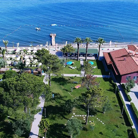Palm 2* Kucukkuyu