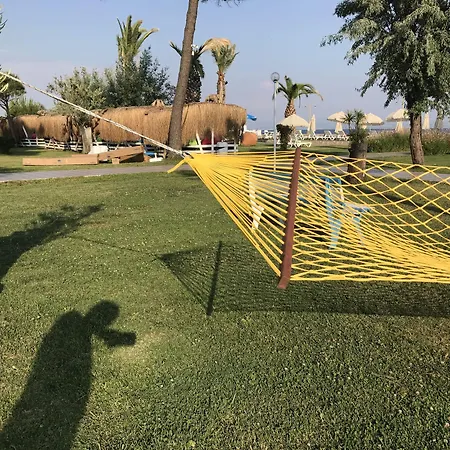 Palm Hotel