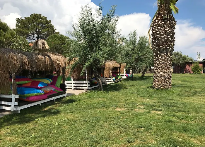 Palm 2* Küçükkuyu